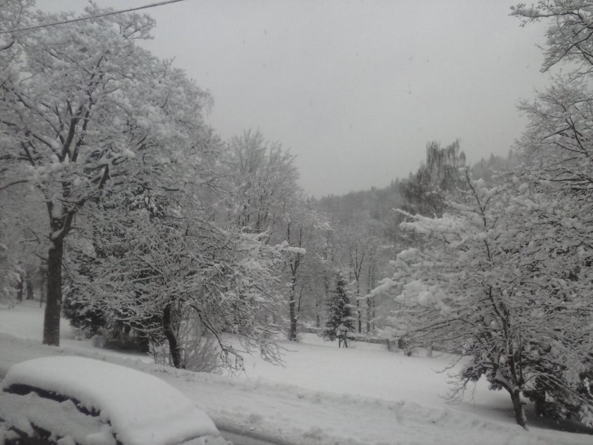 Pensjonat Kosciuszko Hotel Krynica Zdroj Bagian luar foto